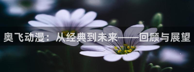 动漫天堂.