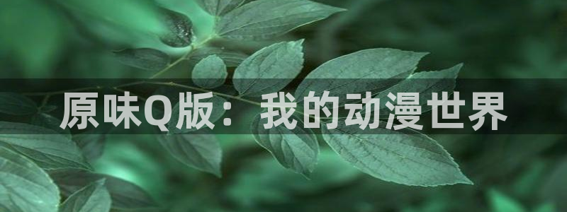 动漫天堂总站