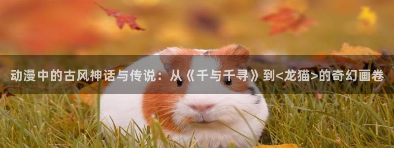 禁动漫天堂