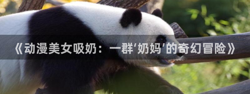 动漫天堂免费
