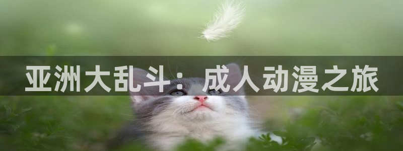 动漫天堂下载官方