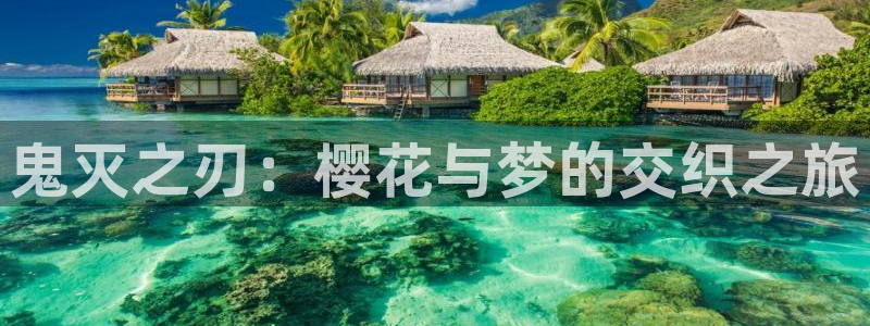 coco动漫天堂