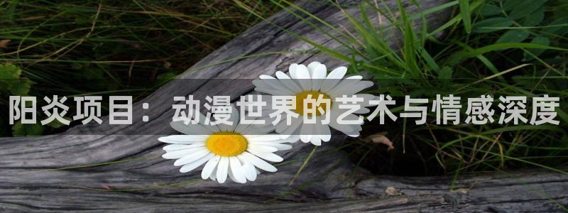 免费a漫动漫天堂.