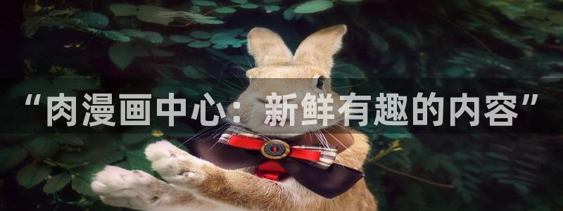 动漫天堂网