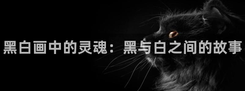 动漫天堂官方正版下载