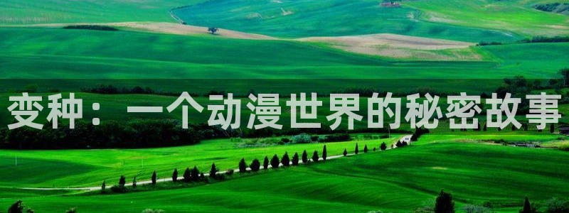动漫天堂网址
