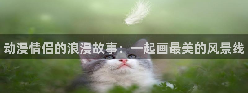 动漫天堂官方正版下载