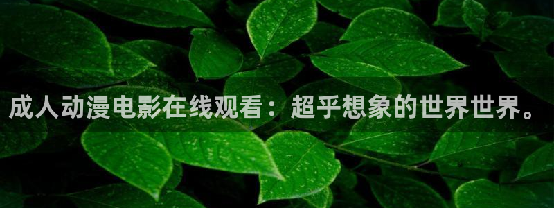 动漫天堂岛