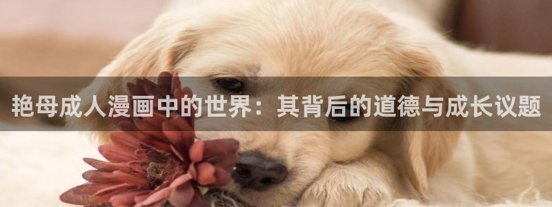 h动漫天堂