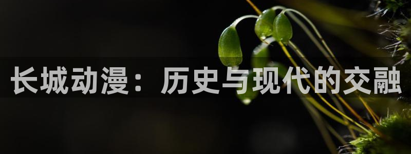 动漫天堂下载官方