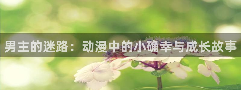 动漫天堂官网：男主的迷路：动漫中的小确幸与成长故事