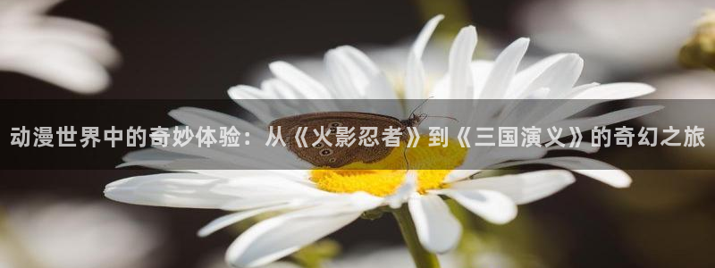 动漫天堂从哪下载安装