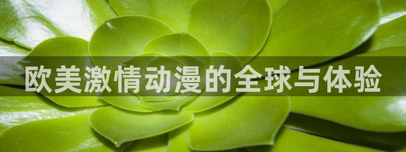 acg动漫天堂