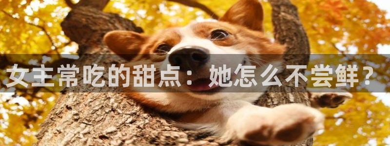 动漫天堂91