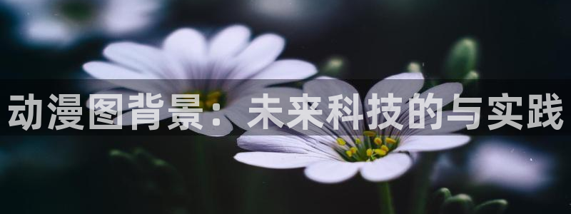 动漫天堂下载最新版