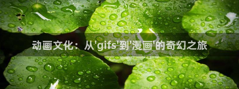 免费动漫天堂之吻
