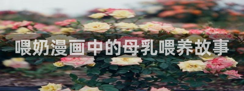 动漫天堂岛