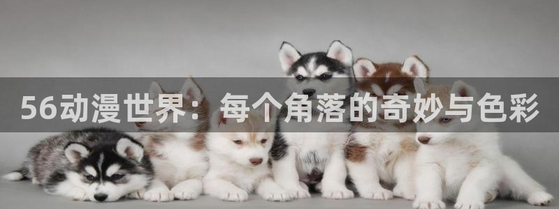 动漫天堂免费观看