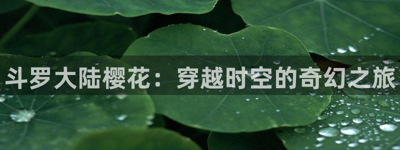 www.动漫天堂