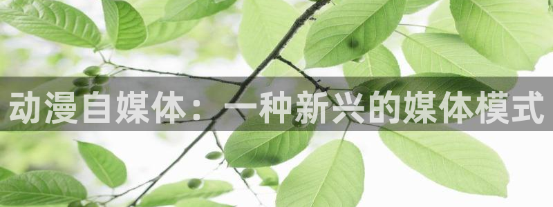 动漫天堂软件