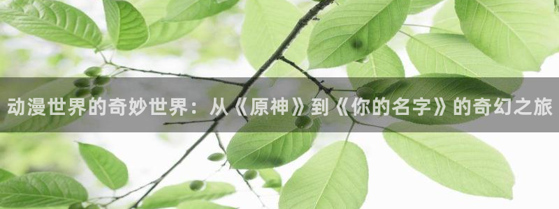 coco动漫天堂