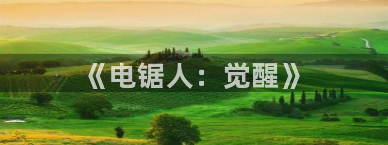 免费a漫动漫天堂.：《电锯人：觉醒》