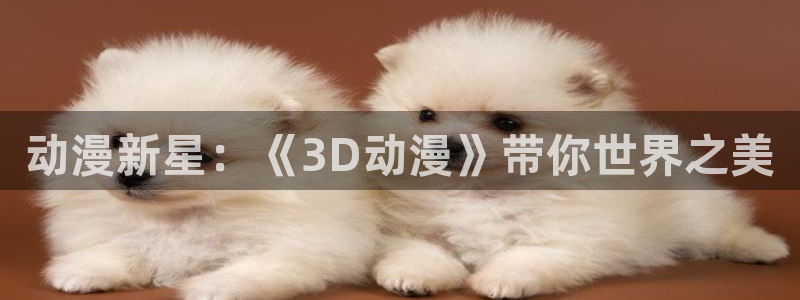 acg动漫天堂