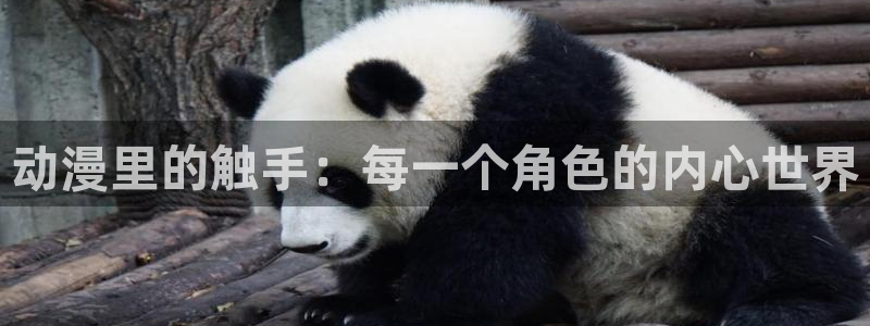 动漫天堂