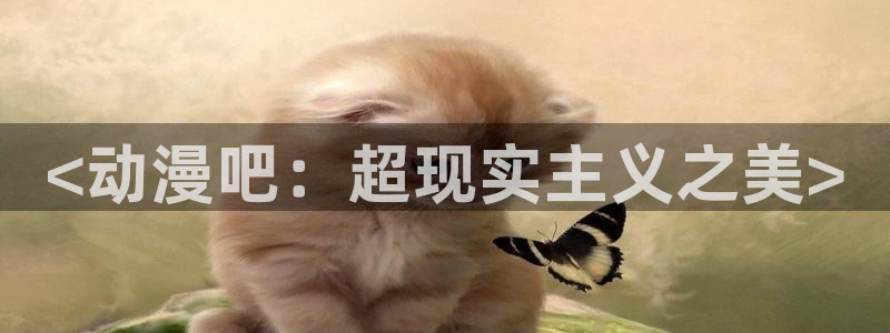 h动漫天堂
