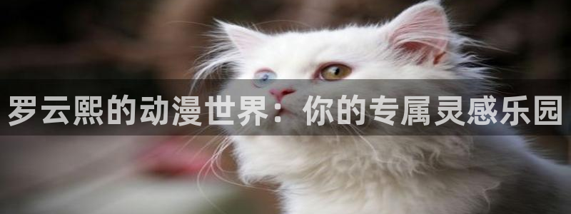 免费a漫动漫天堂.：罗云熙的动漫世界：你的专属灵感乐园