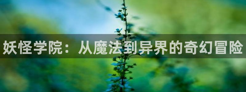 动漫天堂官方正版下载：妖怪学院：从魔法到异界的奇幻冒险