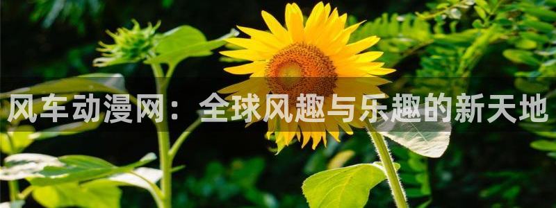动漫天堂之吻：风车动漫网：全球风趣与乐趣的新天地