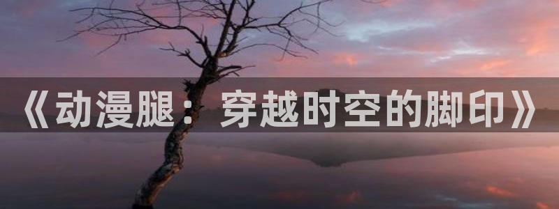 禁动漫天堂：《动漫腿：穿越时空的脚印》