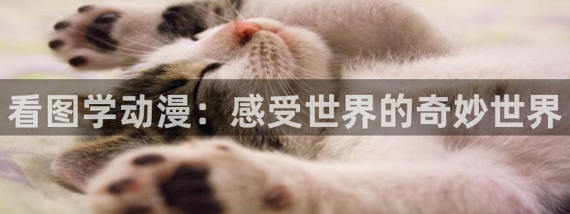 秋叶原动漫天堂：看图学动漫：感受世界的奇妙世界