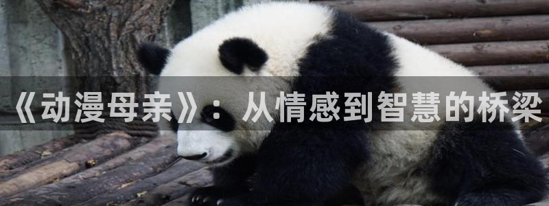 动漫天堂3d：《动漫母亲》：从情感到智慧的桥梁