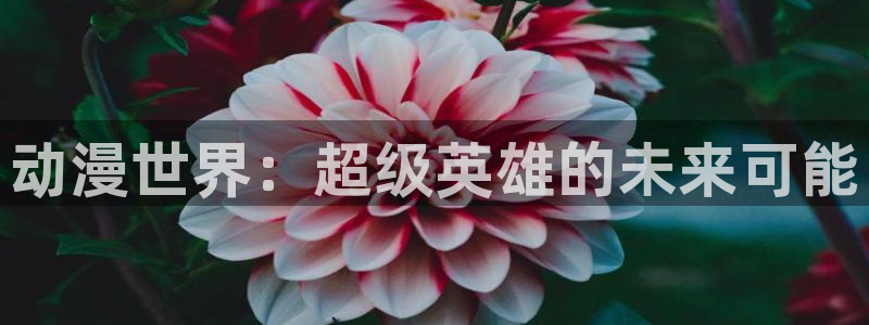 18禁动漫天堂：动漫世界：超级英雄的未来可能