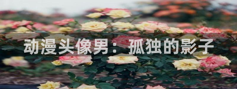 动漫天堂在线免费观看：动漫头像男：孤独的影子