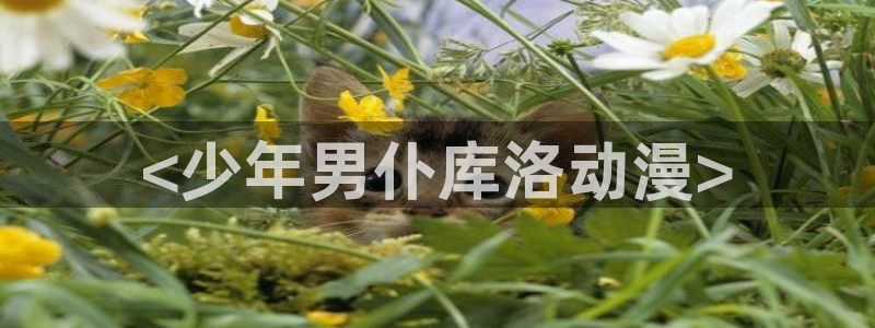 动漫天堂：<少年男仆库洛动漫>
