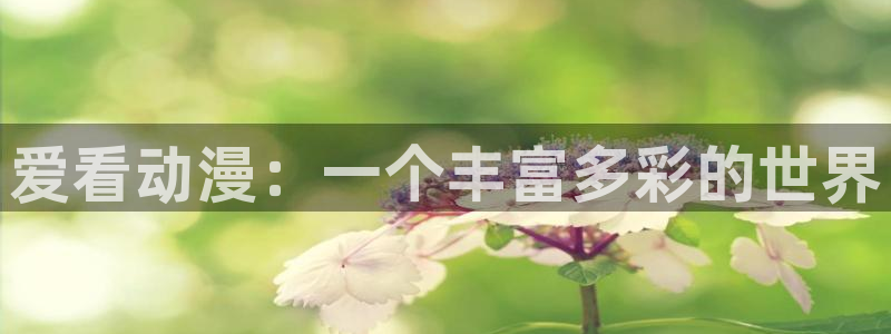 动漫天堂网址：爱看动漫：一个丰富多彩的世界