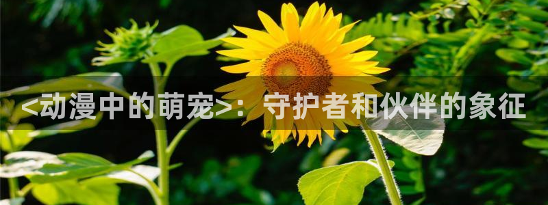 3d动漫天堂网：<动漫中的萌宠>：守护者和伙伴的象征