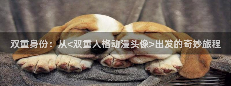18动漫天堂：双重身份：从<双重人格动漫头像>出发的奇妙旅程