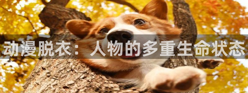 禁漫动漫天堂：动漫脱衣：人物的多重生命状态