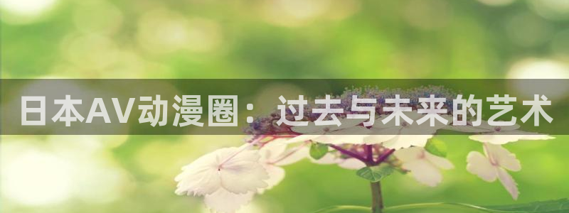 动漫天堂下载：日本AV动漫圈：过去与未来的艺术