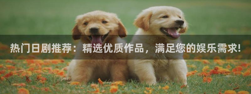 av动漫天堂网：热门日剧推荐：精选优质作品，满足您的娱乐需求!