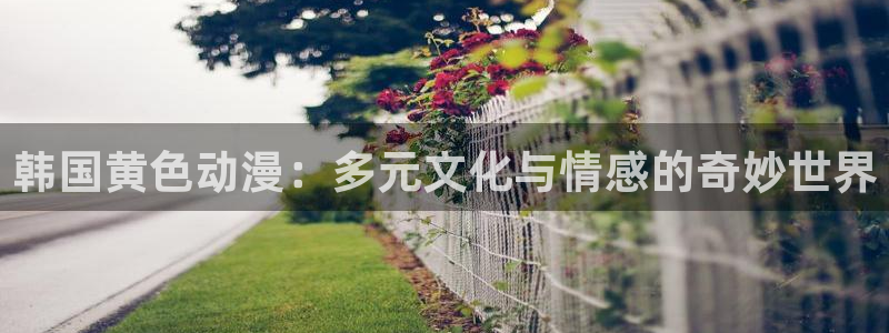 动漫天堂18：韩国黄色动漫：多元文化与情感的奇妙世界