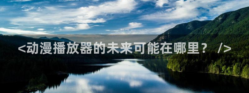 内地动漫天堂：<动漫播放器的未来可能在哪里？ />