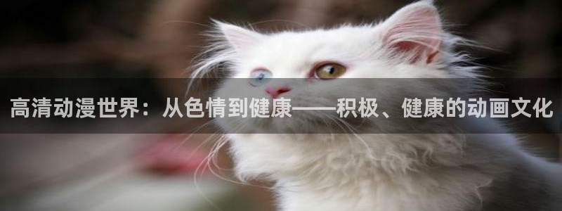 3d动漫天堂网：高清动漫世界：从色情到健康——积极、健康的动画文化