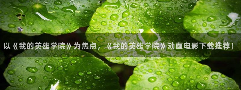动漫天堂免费在线观看：以《我的英雄学院》为焦点，《我的英雄学院》动画电影下载推荐！