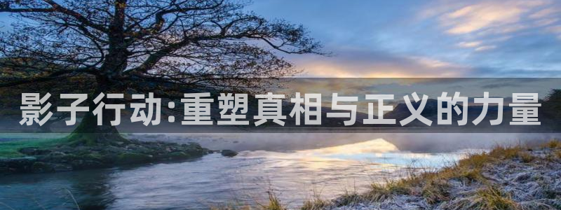 cos动漫天堂官网下载：影子行动:重塑真相与正义的力量