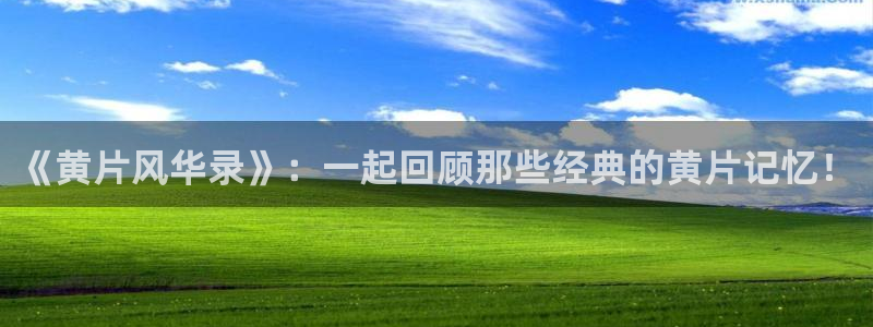 动漫天堂官网：《黄片风华录》：一起回顾那些经典的黄片记忆！